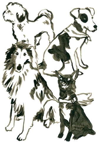 Canine Cameo Collection B