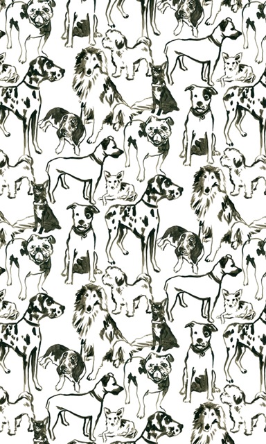 Canine Cameo Collection E
