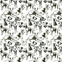 Canine Cameo Collection F