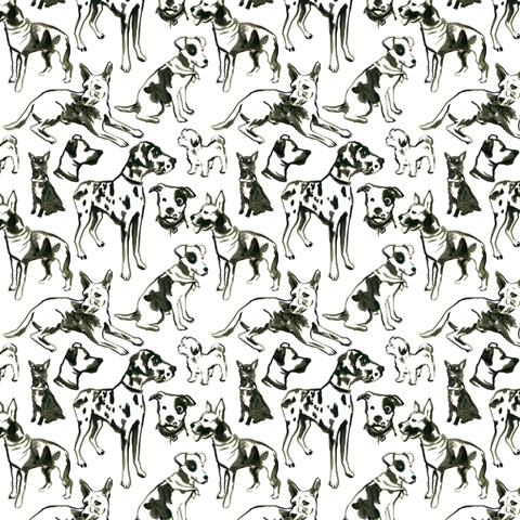 Canine Cameo Collection F