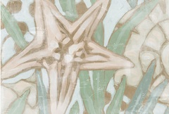 Kelp Song Collection A