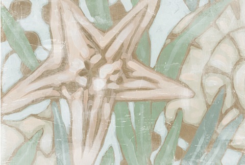 Kelp Song Collection A