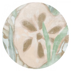 Kelp Song Collection C