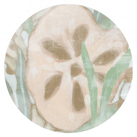 Kelp Song Collection C