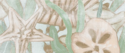 Kelp Song Collection D