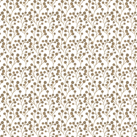 Kelp Song Collection H