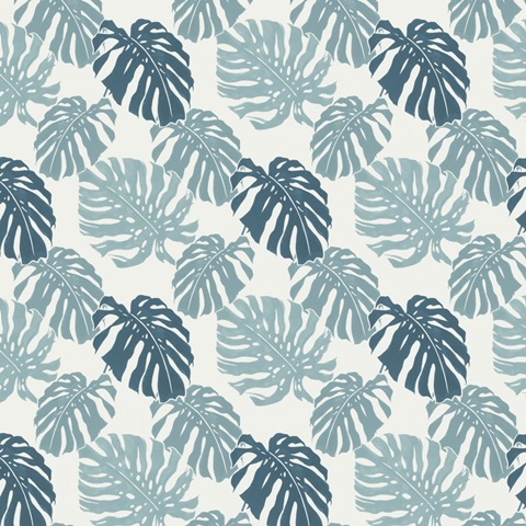 Moon Gazer Collection F