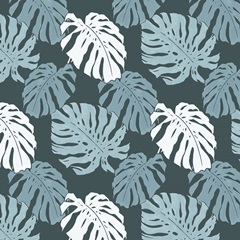 Moon Gazer Collection G