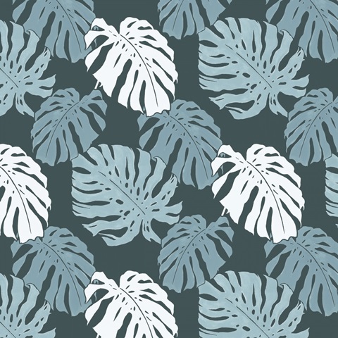 Moon Gazer Collection G