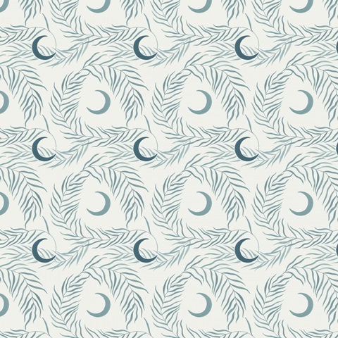 Moon Gazer Collection H