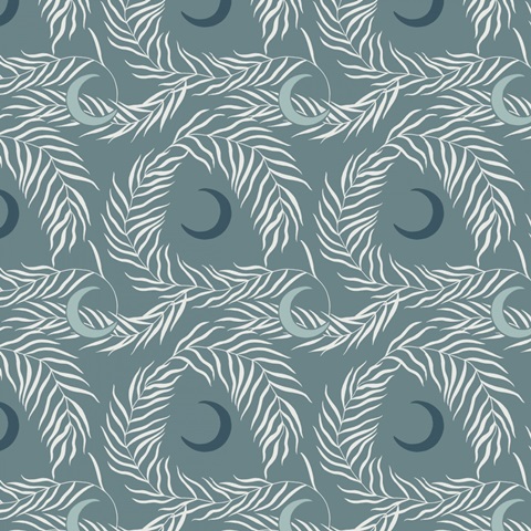 Moon Gazer Collection I