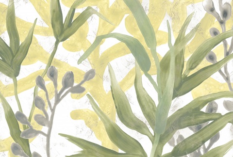 Sea Grass Fresco Collection A