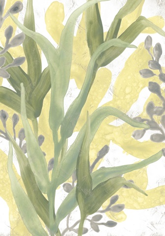 Sea Grass Fresco Collection B