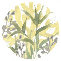 Sea Grass Fresco Collection C