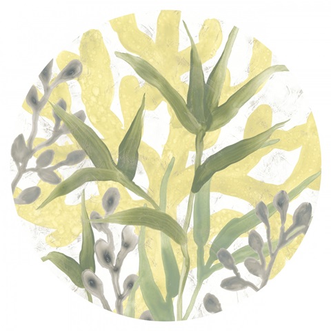 Sea Grass Fresco Collection C