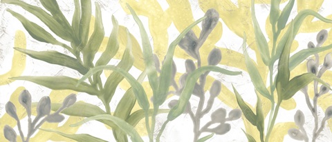 Sea Grass Fresco Collection D