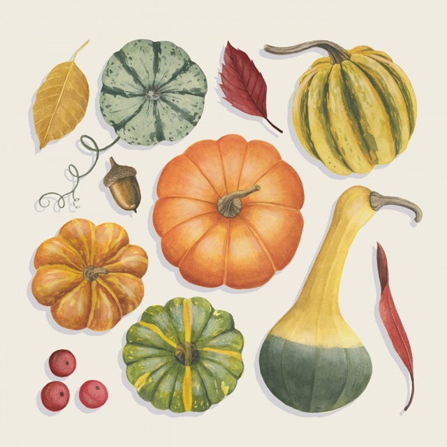 Autumn Bounty I