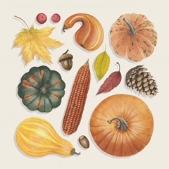 Autumn Bounty II