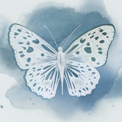 Beryl Butterfly I
