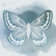 Beryl Butterfly II