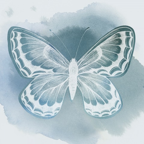 Beryl Butterfly II
