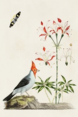 Bird in Habitat I