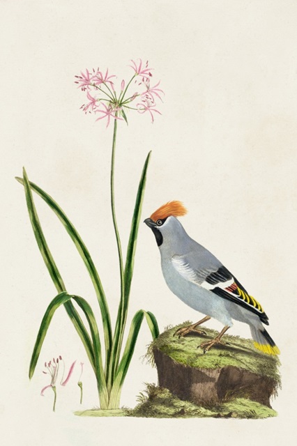 Bird in Habitat II