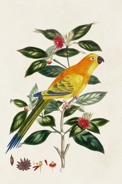 Bird in Habitat V