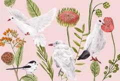 Birds in Motion Collection A