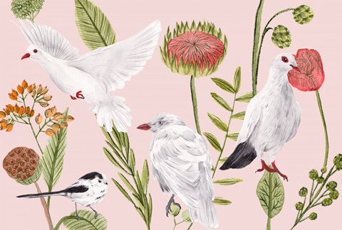 Birds in Motion Collection A