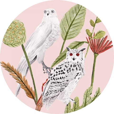 Birds in Motion Collection C