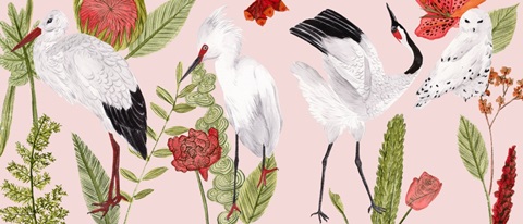 Birds in Motion Collection D