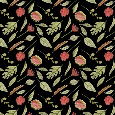 Birds in Motion Collection I