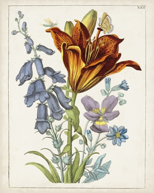 Dutch Florals VI