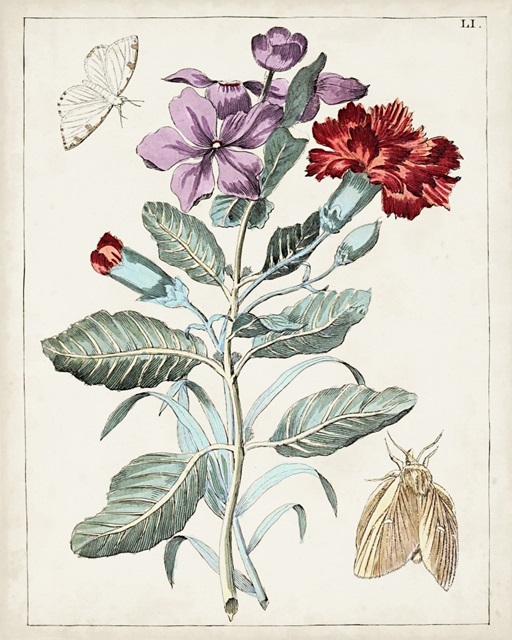 Dutch Florals VIII