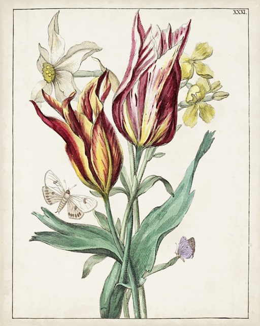 Dutch Florals XI