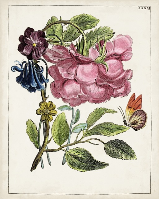 Dutch Florals XII