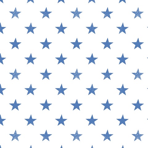 Red, White & BBQ Collection H