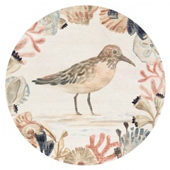 Shell Pipers Collection C