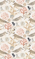 Shell Pipers Collection E