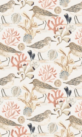 Shell Pipers Collection E