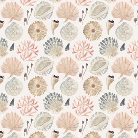 Shell Pipers Collection F