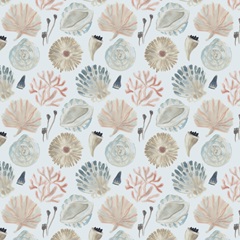 Shell Pipers Collection G