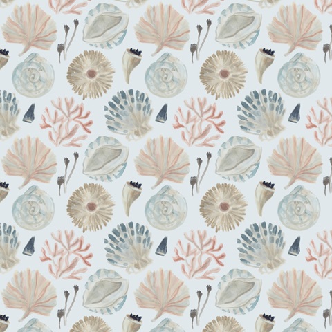 Shell Pipers Collection G