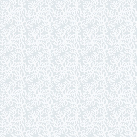 Shell Pipers Collection I