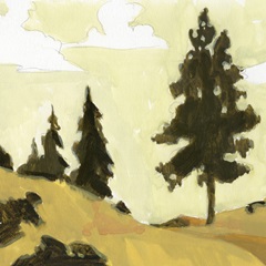 State Park Pine Sketch I