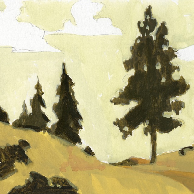 State Park Pine Sketch I