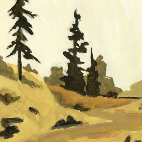 State Park Pine Sketch II