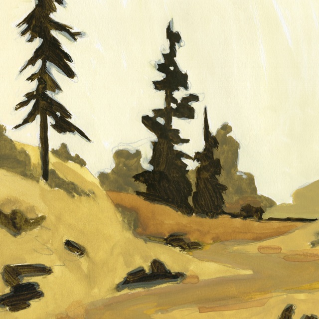 State Park Pine Sketch II