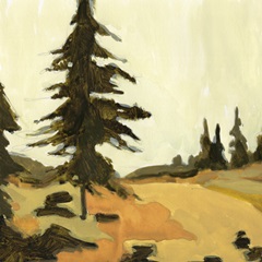 State Park Pine Sketch IV